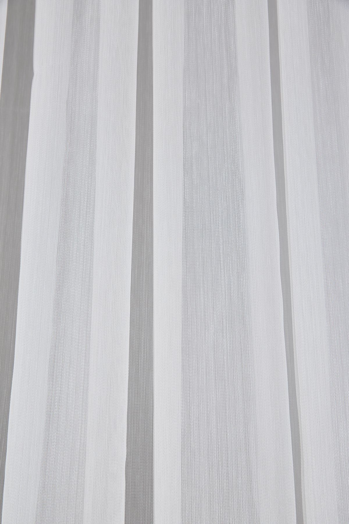 LIVIA Gardinella livia