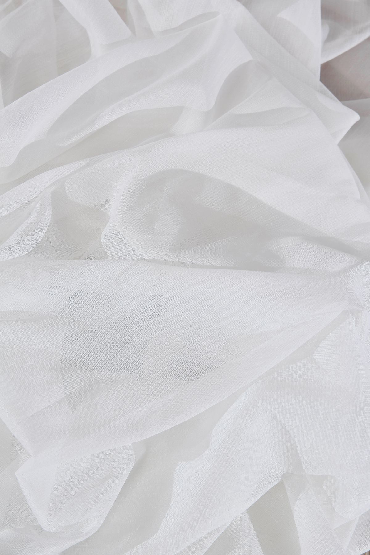 LIVIA Gardinella livia