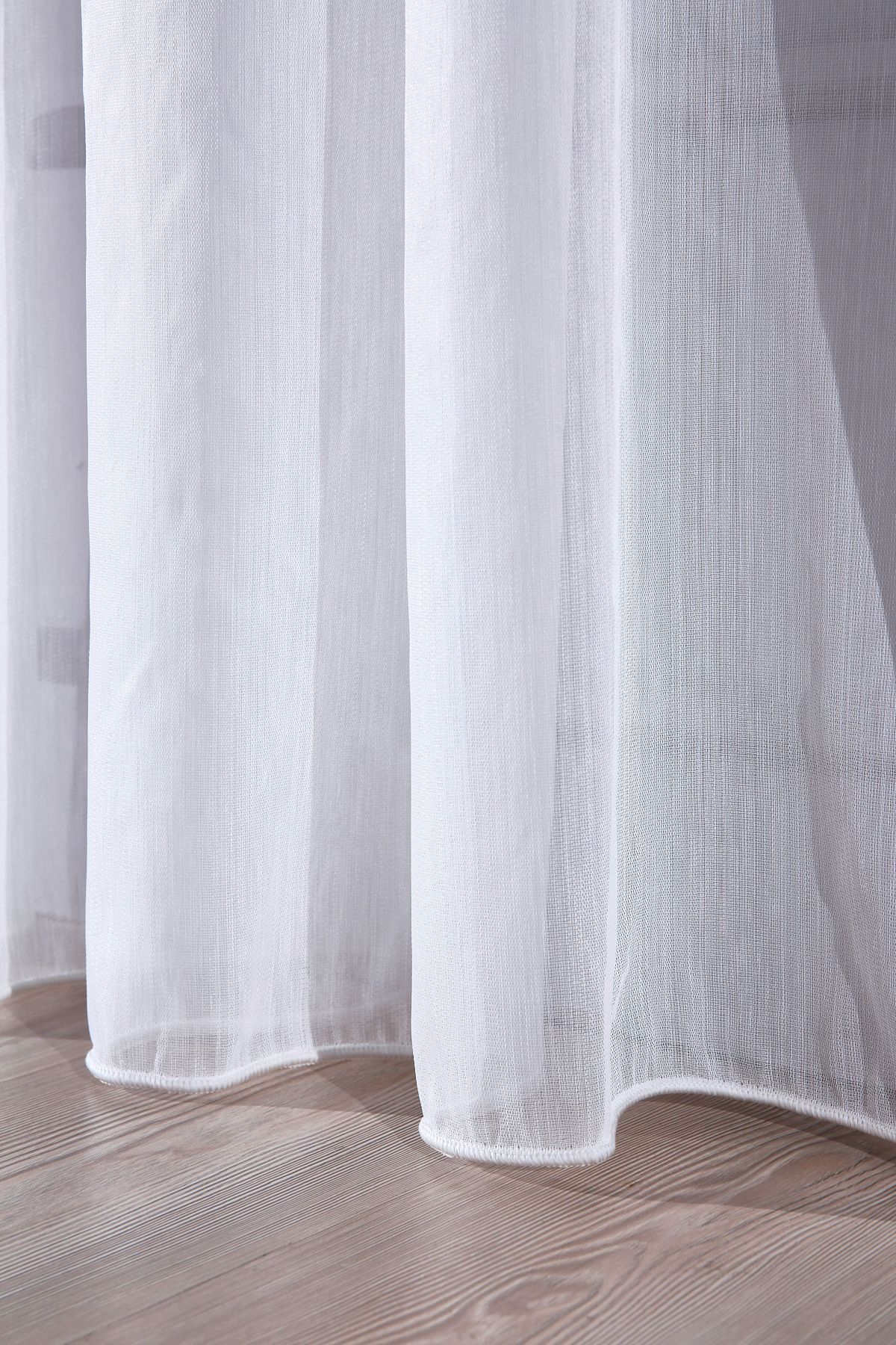 LIVIA Gardinella livia