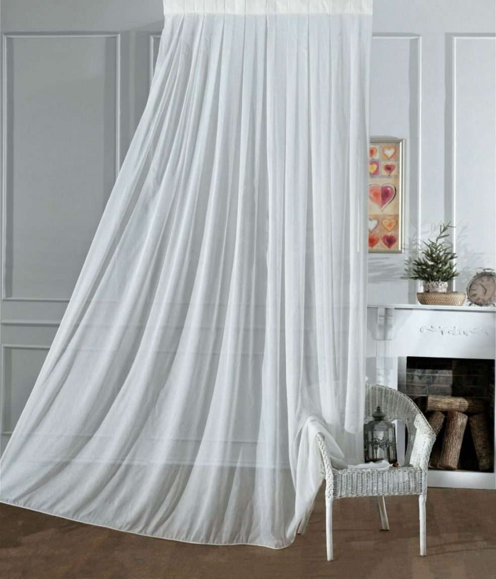 LIVIA Gardinella livia