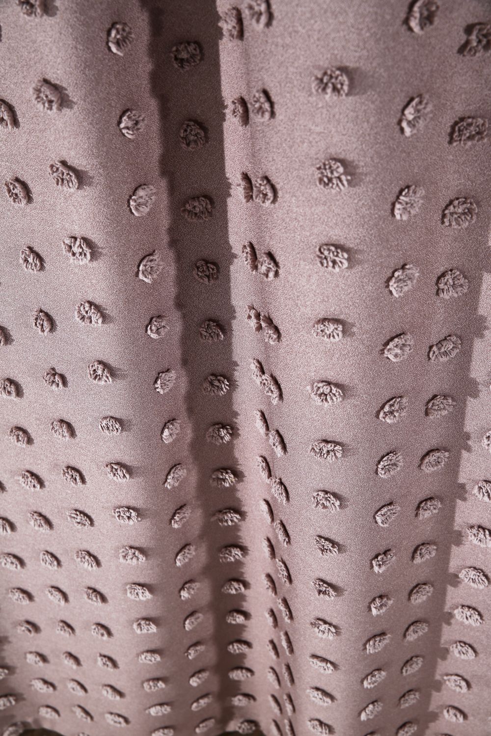 SOLEA BRAUN Gardinella solea braun